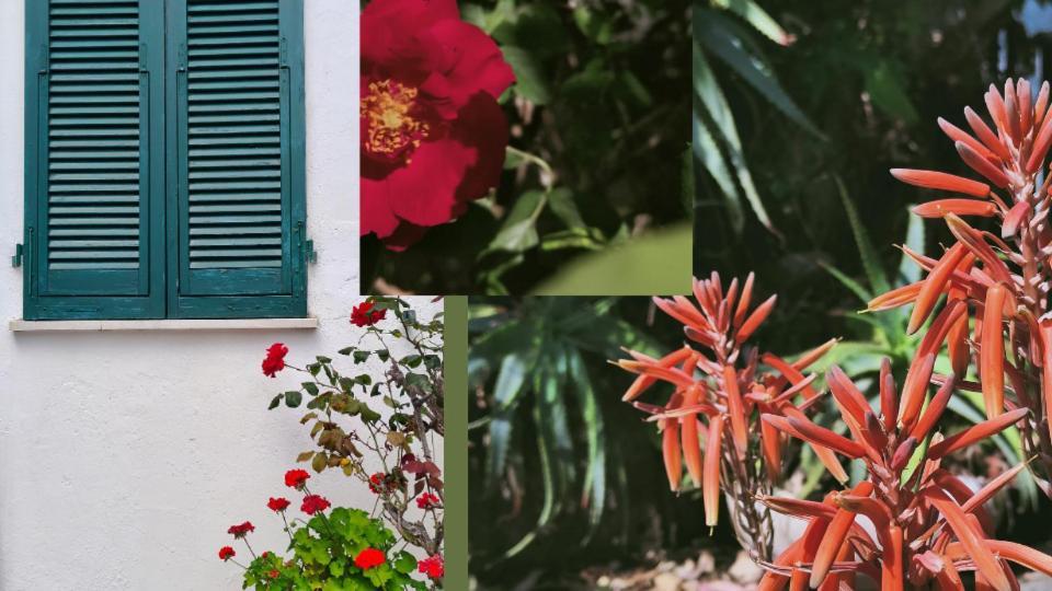 Hotel Scoglio Bianco Portoferraio Dış mekan fotoğraf