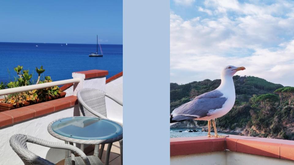Hotel Scoglio Bianco Portoferraio Dış mekan fotoğraf